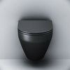 Подвесной унитаз AM.PM Spirit V2.0 FlashClean с сиденьем микролифт, черный, C701700MBSC - фото, отзывы, цена