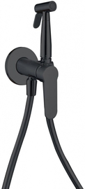 Смеситель с гигиеническим душем Aquanet Passion AF300-52B - фото, отзывы, цена