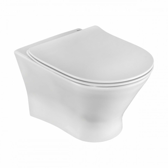 Унитаз подвесной Roca Leon с крышкой-сиденьем микролифт, ZRU9302943+ZRU9307612 - фото, отзывы, цена