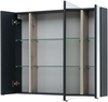 Зеркальный шкаф Aquanet Алвита New 100 Антрацит - фото, отзывы, цена