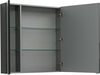 Зеркало-шкаф Aquanet Алвита 100 серый антрацит - фото, отзывы, цена
