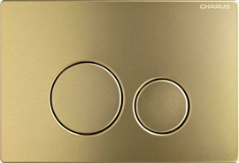 Клавиша для инсталляции Charus Robusto, нержавеющая сталь, брашированное золото светлое, FP.330.BTG.05 - фото, отзывы, цена