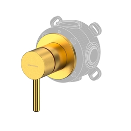 Смеситель Whitecross Y Y1241GLB для душа, на 1 потребителя, встраиваемый, брашированное золото - фото, отзывы, цена
