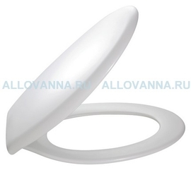 Крышка-сиденье Jacob Delafon Brive E70014-00 с микролифтом, петли белые - фото, отзывы, цена