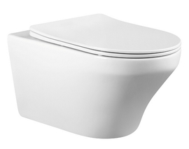 Унитаз подвесной Charus Franz D безободковый, с сиденьем микролифт, белый, EWC700-124W - фото, отзывы, цена