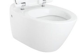 Унитаз подвесной Jacob Delafon Presquile (без крышки) - фото, отзывы, цена