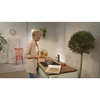 Смеситель Hansgrohe Focus для кухонной мойки с поворотным изливом, сталь 31806800 - фото, отзывы, цена