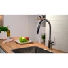Смеситель Hansgrohe Focus для кухонной мойки с выдвижным душем, хром 31815000 - фото, отзывы, цена