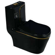 Унитаз-моноблок Emmy EY-9007G, сиденье с микролифтом, черный/золотой - фото, отзывы, цена