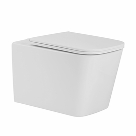 Унитаз подвесной Prato Импресс PR-2303А безободковый с микролифтом и сиденьем из дюропласта, смыв Торнадо - фото, отзывы, цена