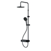 Душевая система AM.PM X-Joy F0785A622, черная - фото, отзывы, цена