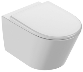 Унитаз подвесной безободковый Jacob Delafon Bastille EDAB102-00 - фото, отзывы, цена