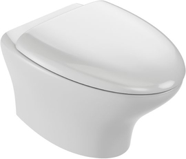 Унитаз подвесной Jacob Delafon Nouvelle Vague, безободковый, EDJ102-00 (без сидения) - фото, отзывы, цена