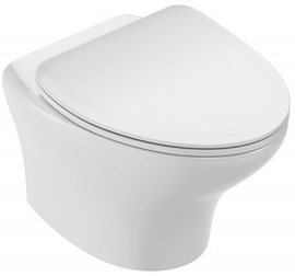 Унитаз подвесной Jacob Delafon Nouvelle Vague, безободковый, EDK102-00 (без сидения) - фото, отзывы, цена